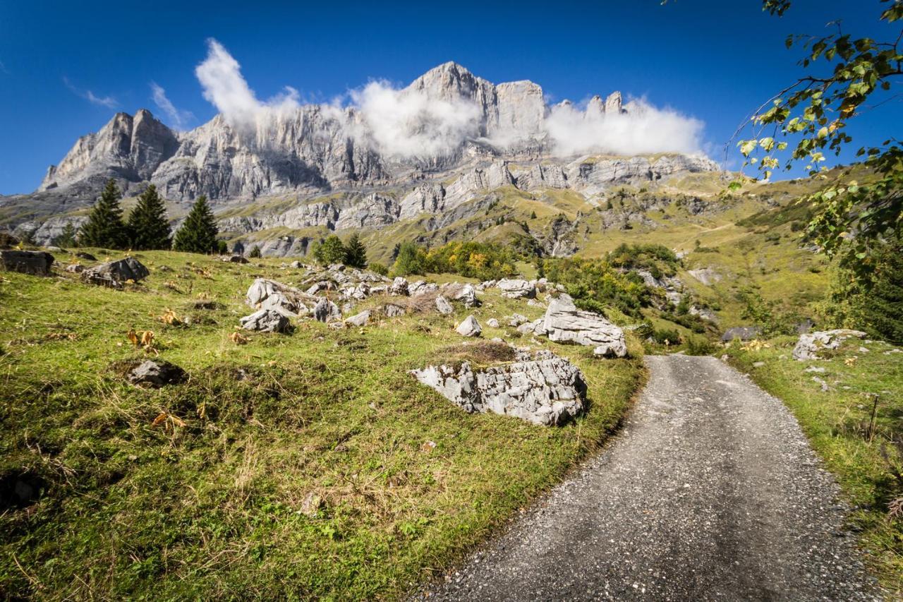 Les Edelweiss Mont-Blanc - Gite Classe 3 Etoiles باسي المظهر الخارجي الصورة